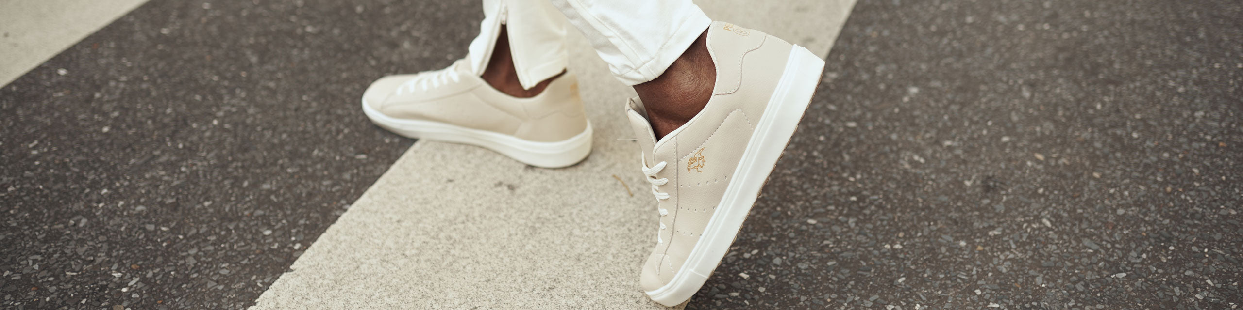 Todos produtos da Polo GO